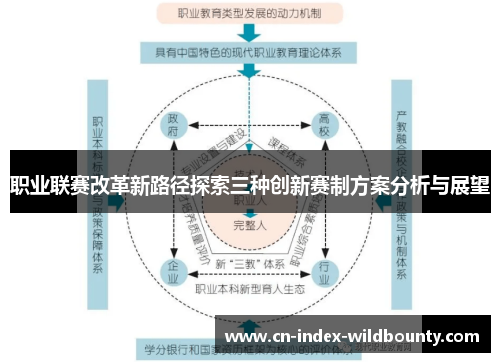 职业联赛改革新路径探索三种创新赛制方案分析与展望 职业联赛改革新路径探索三种创新赛制方案分析与展望