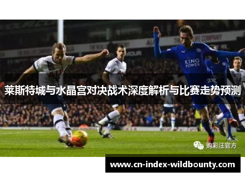 莱斯特城与水晶宫对决战术深度解析与比赛走势预测 莱斯特城与水晶宫对决战术深度解析与比赛走势预测