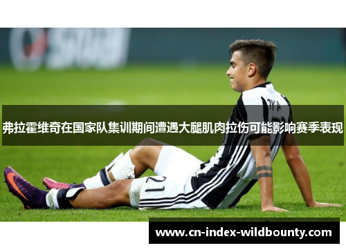 弗拉霍维奇在国家队集训期间遭遇大腿肌肉拉伤可能影响赛季表现
