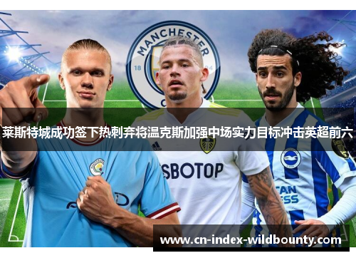莱斯特城成功签下热刺弃将温克斯加强中场实力目标冲击英超前六 莱斯特城成功签下热刺弃将温克斯加强中场实力目标冲击英超前六