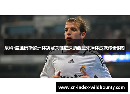 尼科·威廉姆斯欧洲杯决赛关键进球助西班牙捧杯成就传奇时刻