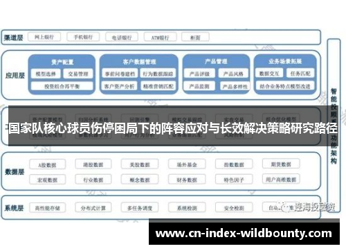 国家队核心球员伤停困局下的阵容应对与长效解决策略研究路径