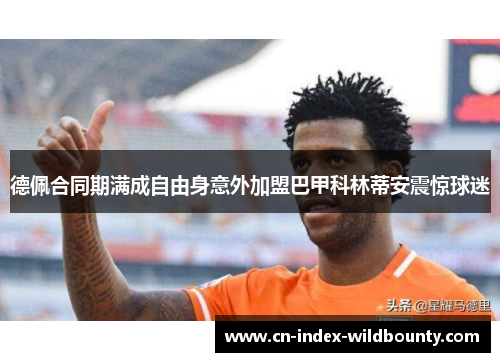 德佩合同期满成自由身意外加盟巴甲科林蒂安震惊球迷 德佩合同期满成自由身意外加盟巴甲科林蒂安震惊球迷