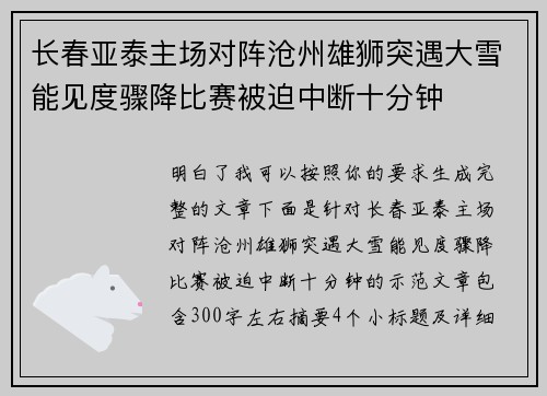 长春亚泰主场对阵沧州雄狮突遇大雪能见度骤降比赛被迫中断十分钟